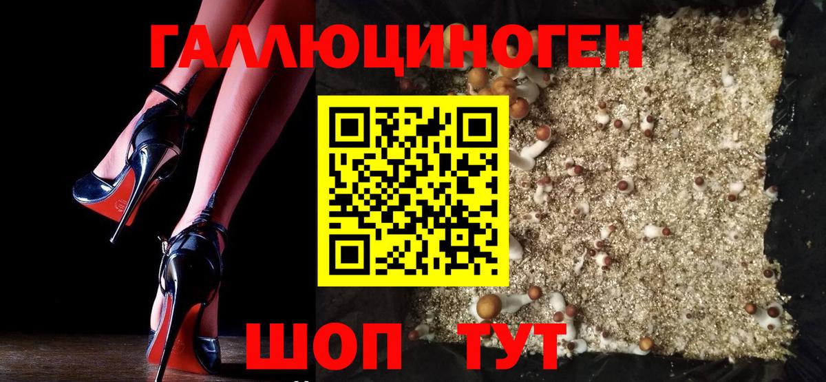 Псилоцибиновые грибы MAGIC MUSHROOMS Севастополь