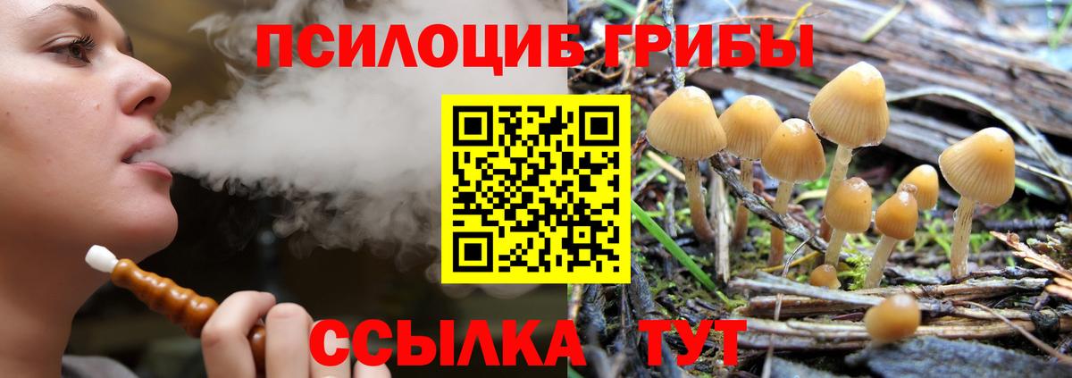 Галлюциногенные грибы Psilocybine cubensis  Вход с VPN  Севастополь 
